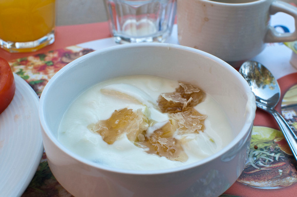 Yummy yogurt with fruits and honey straight off the comb