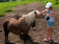 Emma was the only kid allowed inside with the horses